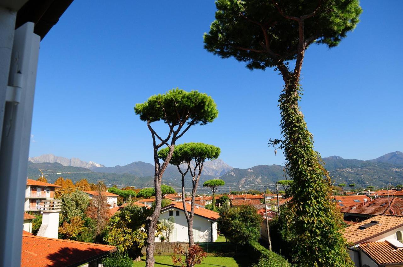 Olive Beach Forte Dei Marmi Luaran gambar